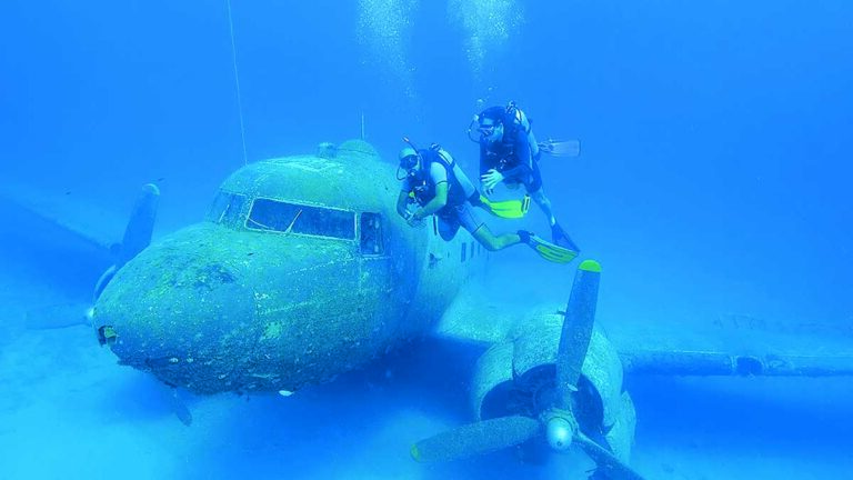 Avion