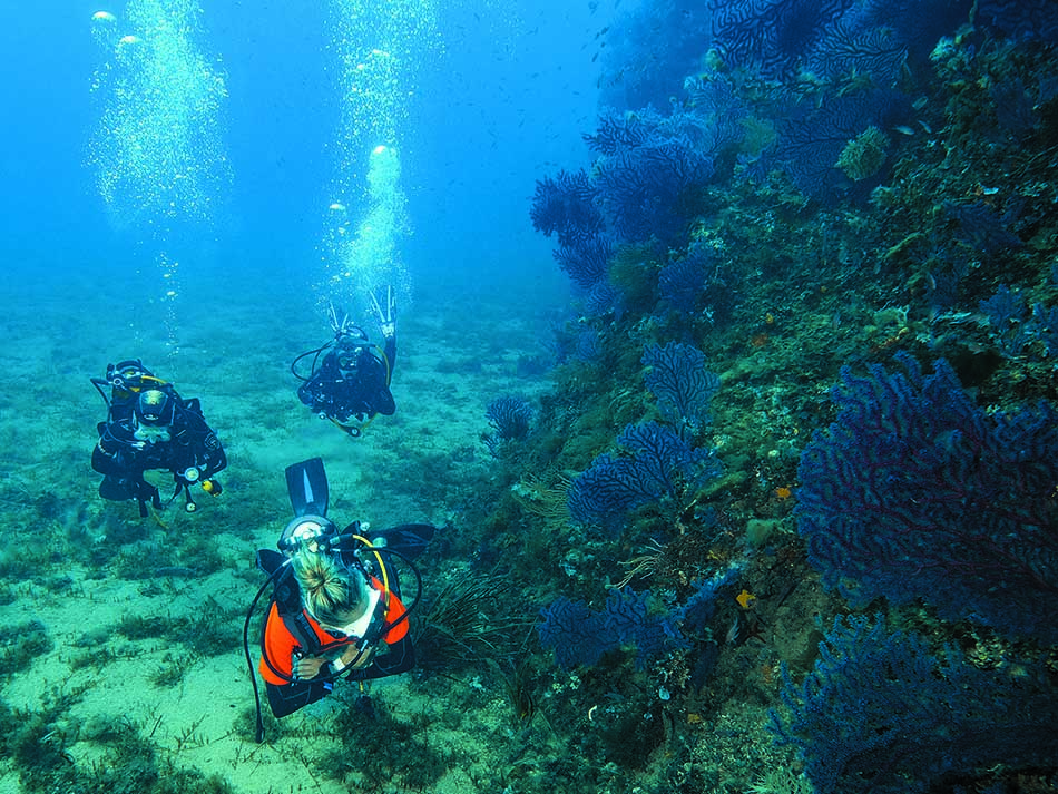 Dive group