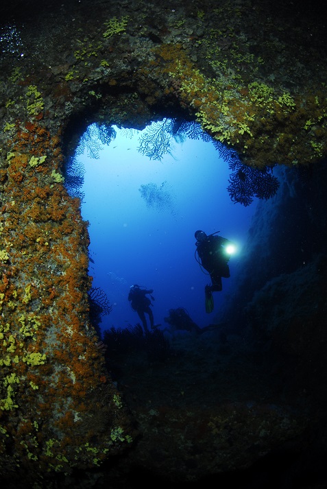Photo cenote cave 14