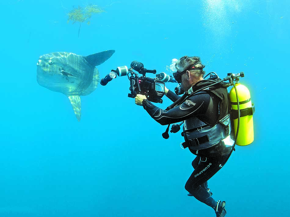 Photographer