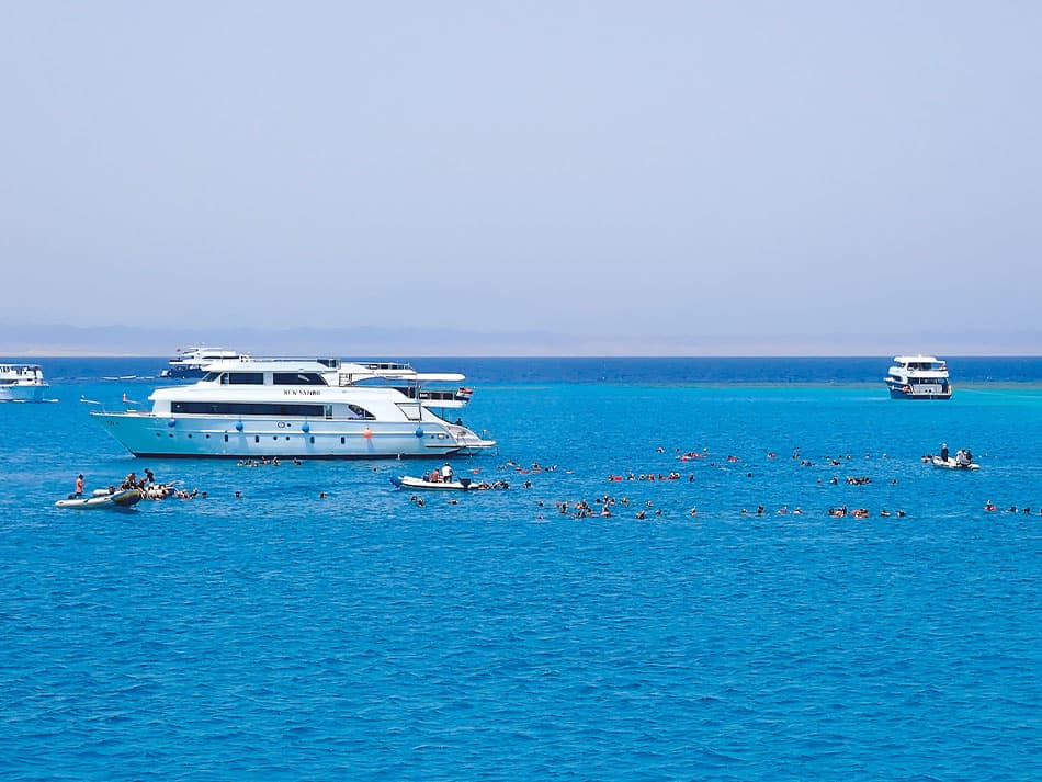 Diving dolphins Sataya 1
