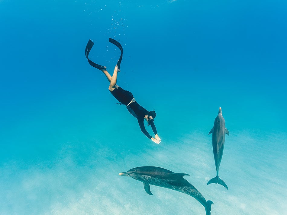 Bimini diving trip 1