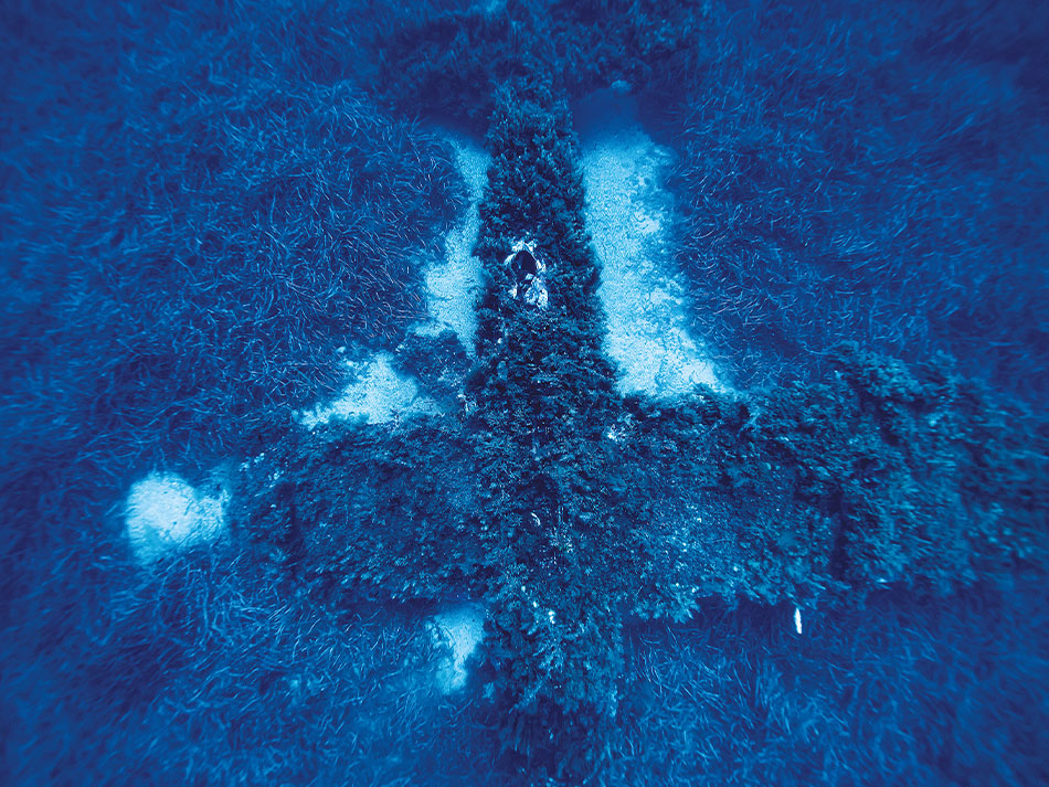 Underwater Corsican Wreck 7