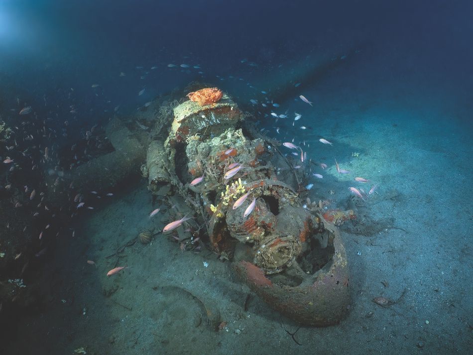 Wrecks (7)