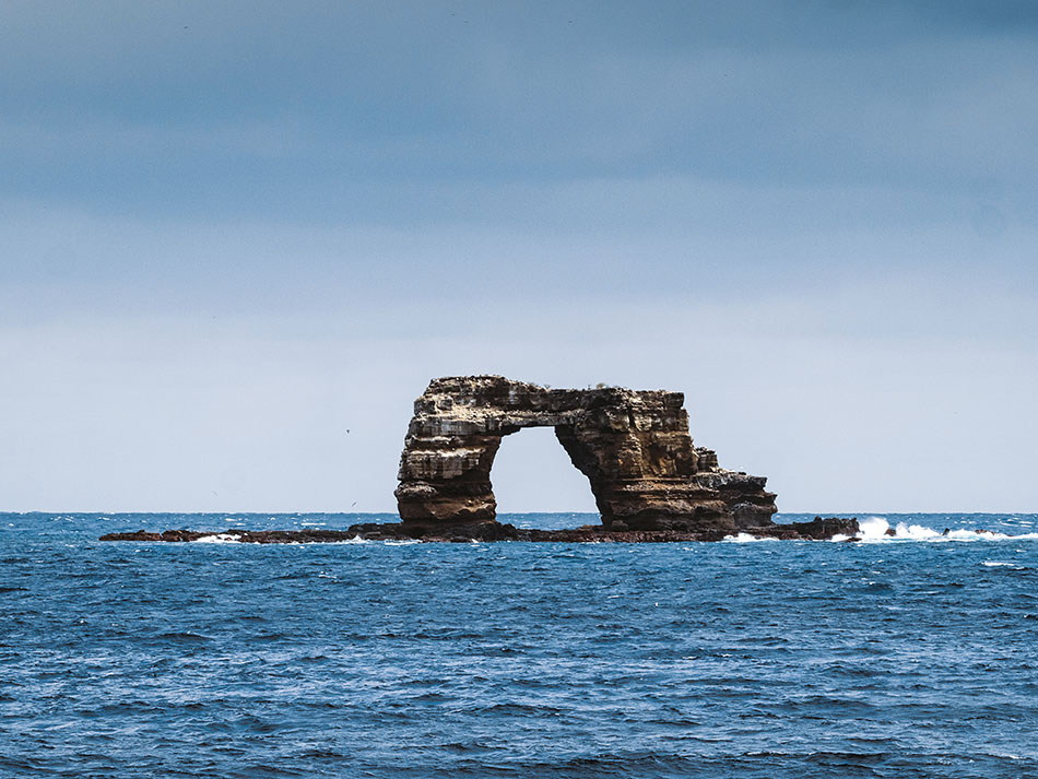 Galapagos biodiversità 17