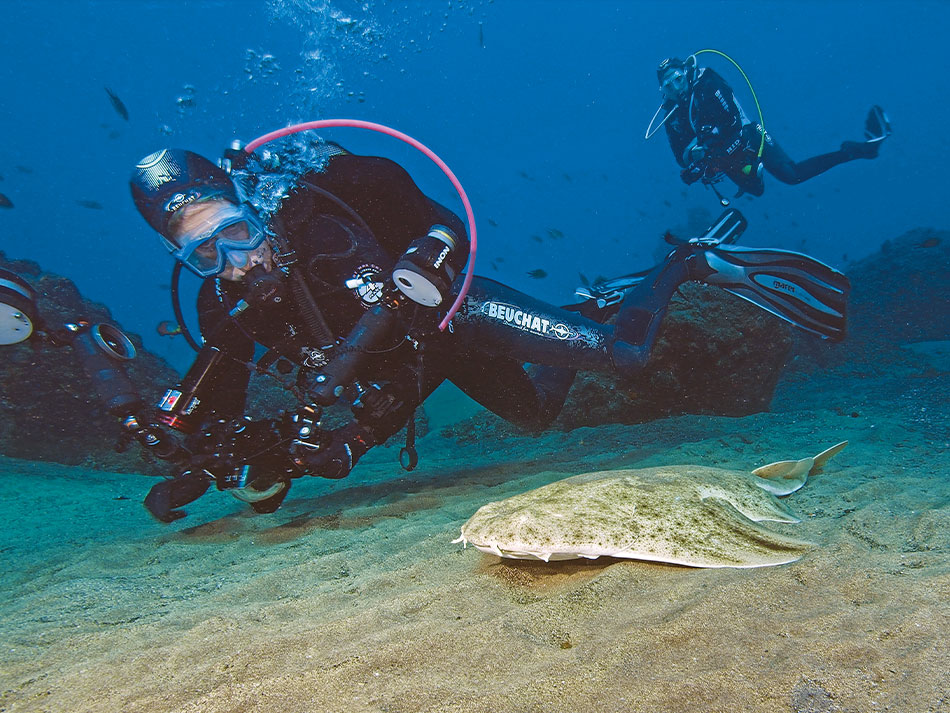 Diving lanzarote canaries 17