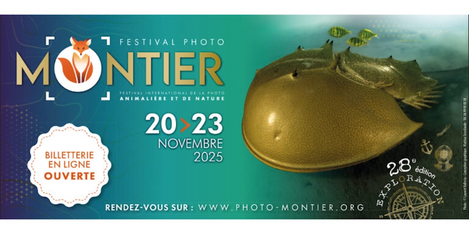Online ticketing banner for website cropping 768x384