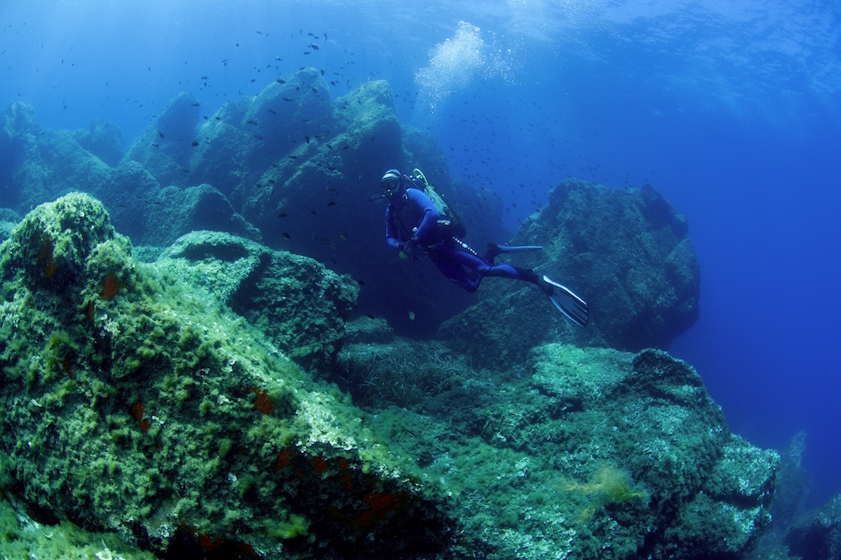Ambiance medes, diver D1249
