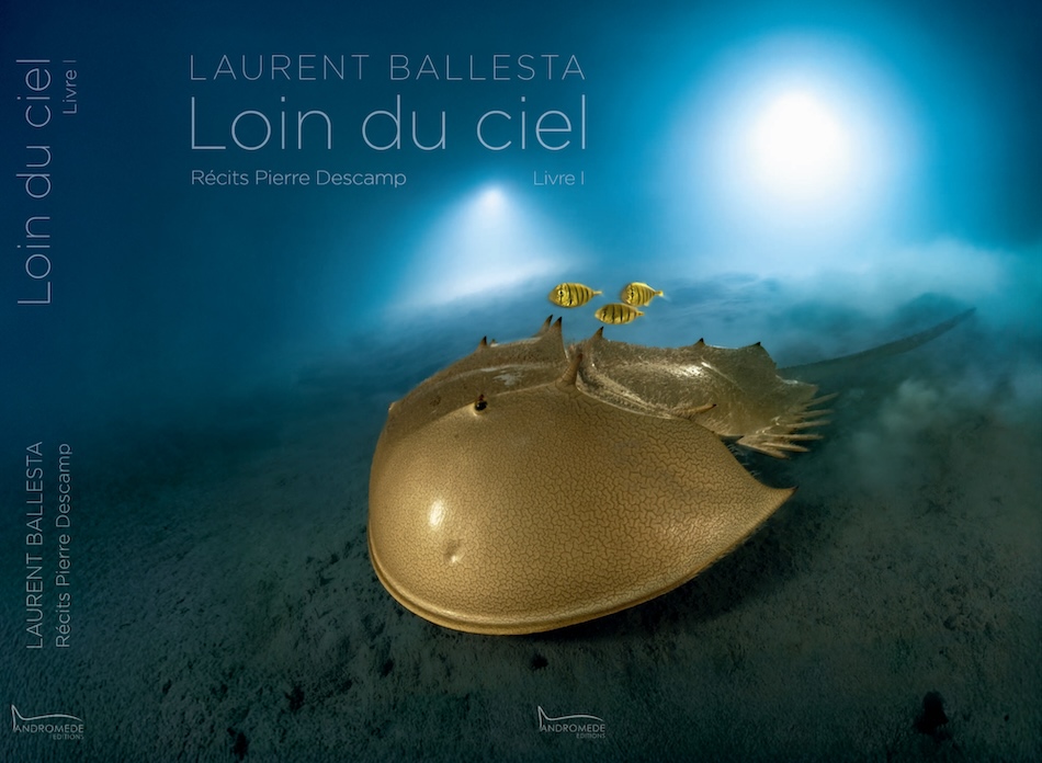Cover farfromthesky