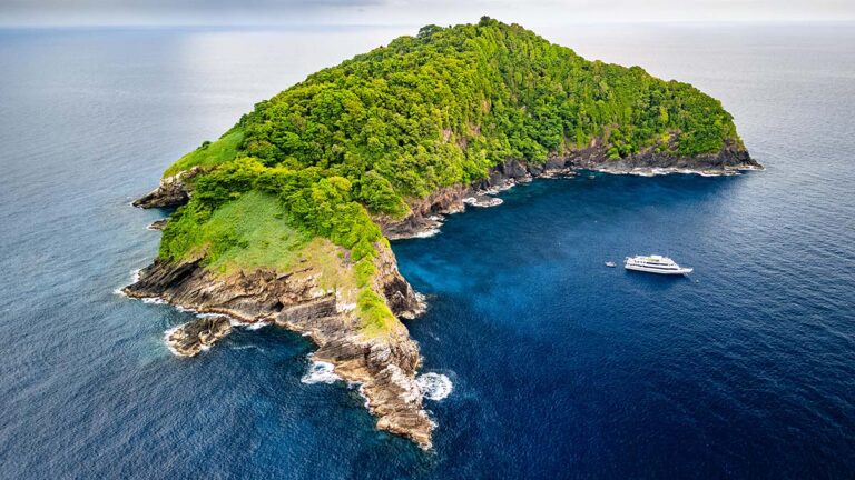 Un paysage sous-marin exceptionnel entourant une île verdoyante, idéal pour la plongée.
