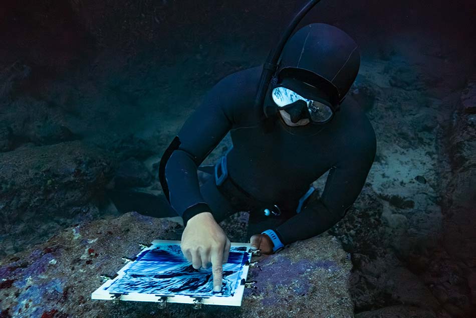 Un buceador explora los fondos marinos mientras captura datos sobre la biodiversidad oceánica.