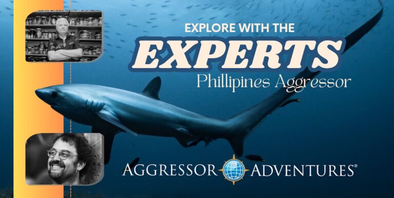Plongée inoubliable aux Philippines avec des experts de la vie marine et des requins majestueux.