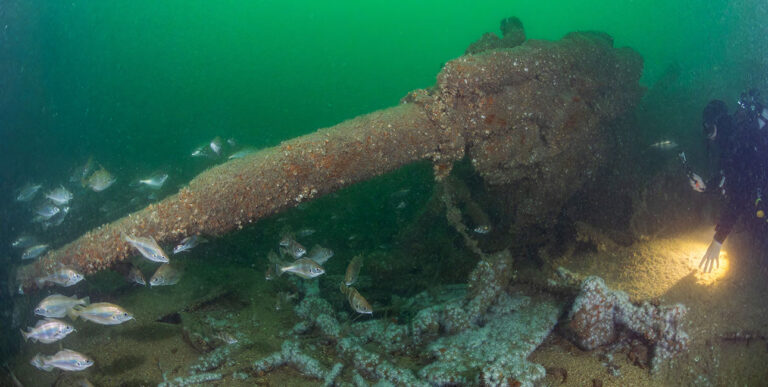 Un plongeur explore une épave marine, entouré de poissons et de coraux.
