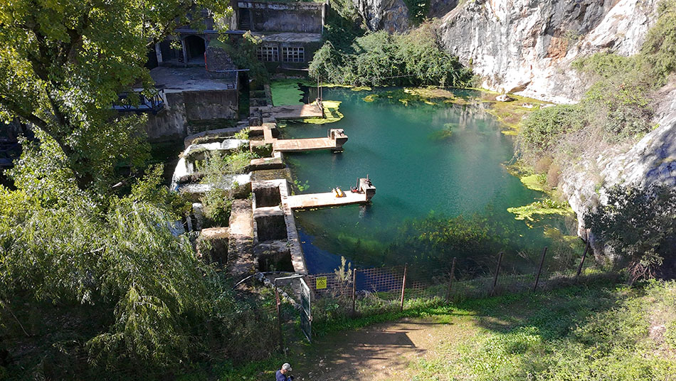 A picturesque dive site with crystal clear waters and lush vegetation.