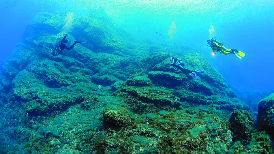 Underwater diving exploring rock formations and rich marine vegetation.
