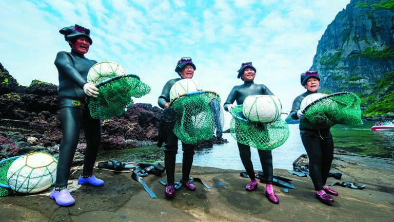 Des plongeuses en combinaison, récoltant des fruits de mer dans un environnement sous-marin captivant.
