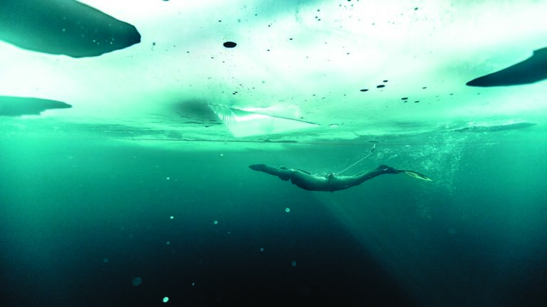 Un plongeur explore les profondeurs marines sous la glace, découvrant un monde sous-marin fascinant.