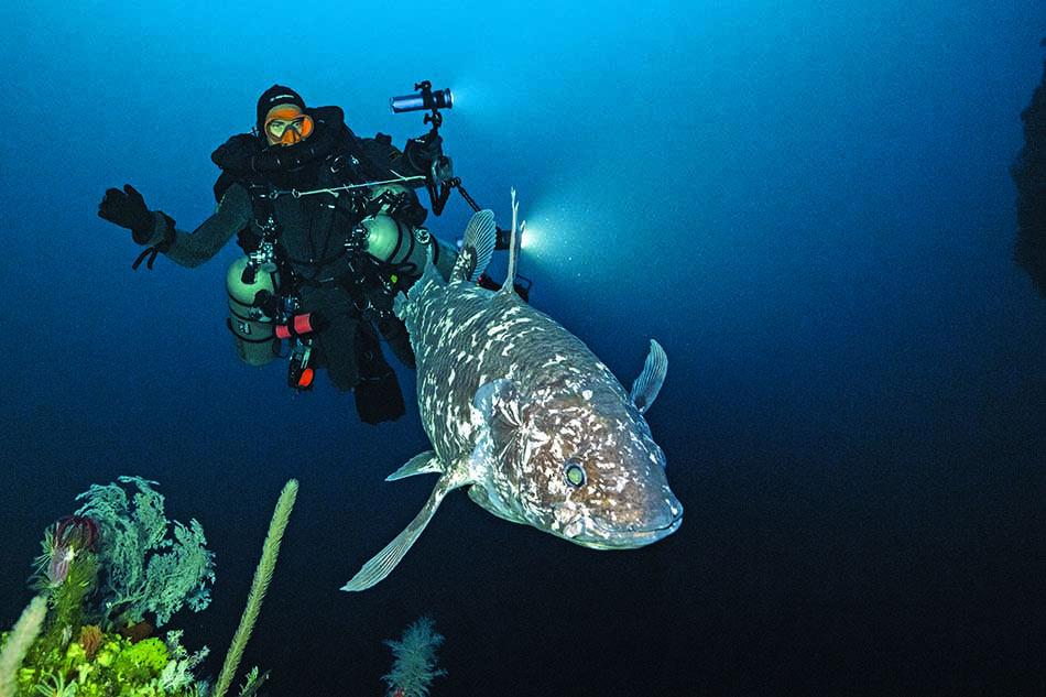 A diver explores the marine depths alongside a fascinating and rare fish.