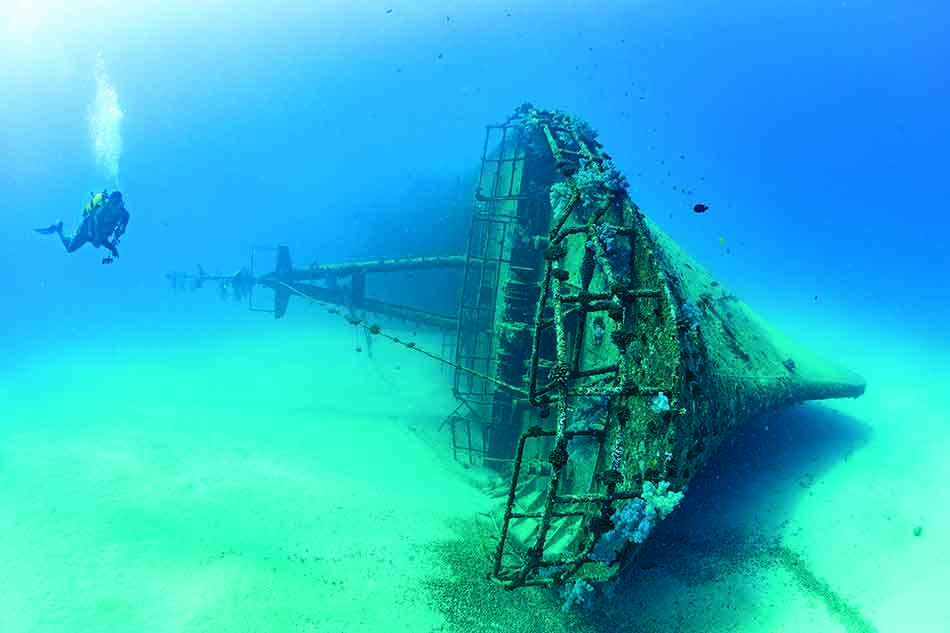 A diver explores the wreck of a ship, a fascinating habitat for marine life.