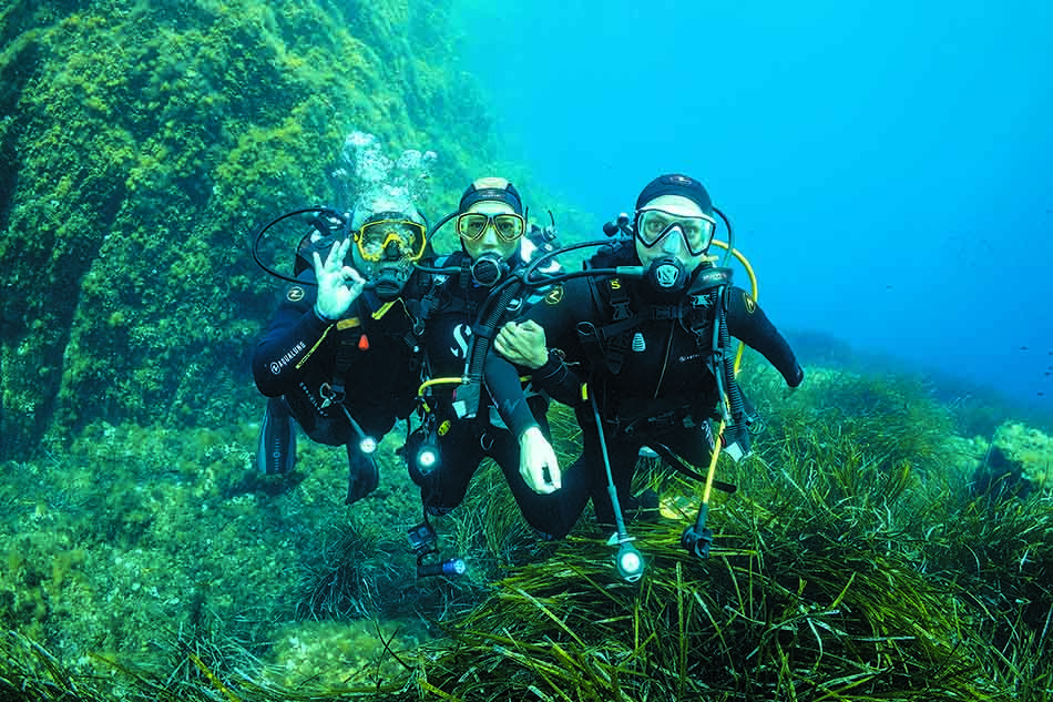Three divers explore an underwater landscape rich in marine vegetation and biodiversity.