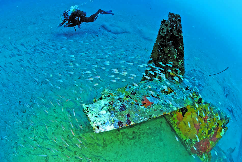 A diver explores a colorful wreck, surrounded by schools of fish in a fascinating underwater world.