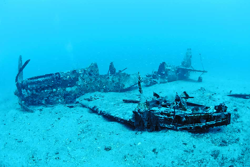Mysterious wreck of a plane, underwater habitat for aquatic wildlife.