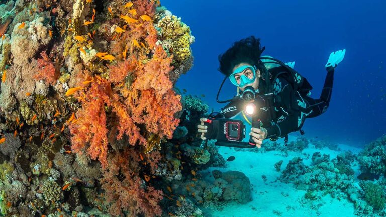 Plongeur capturant des images vibrantes de coraux et de poissons colorés avec une caméra sous-marine.