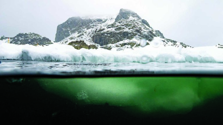 Un paysage sous-marin où la glace rencontre des eaux profondes, idéal pour la plongée aventure.