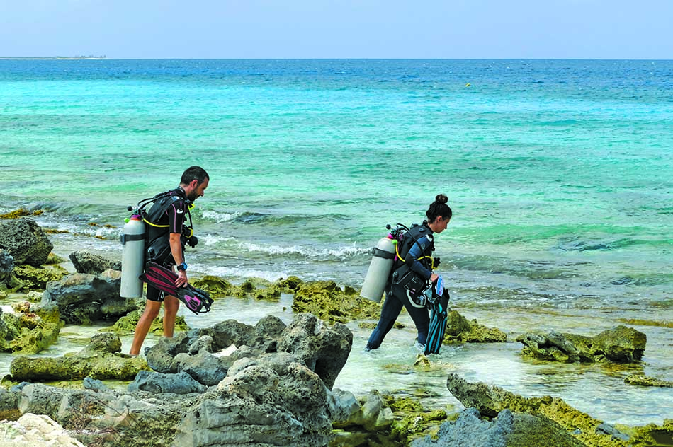 Divers equipped heading towards crystal clear waters to explore marine life.